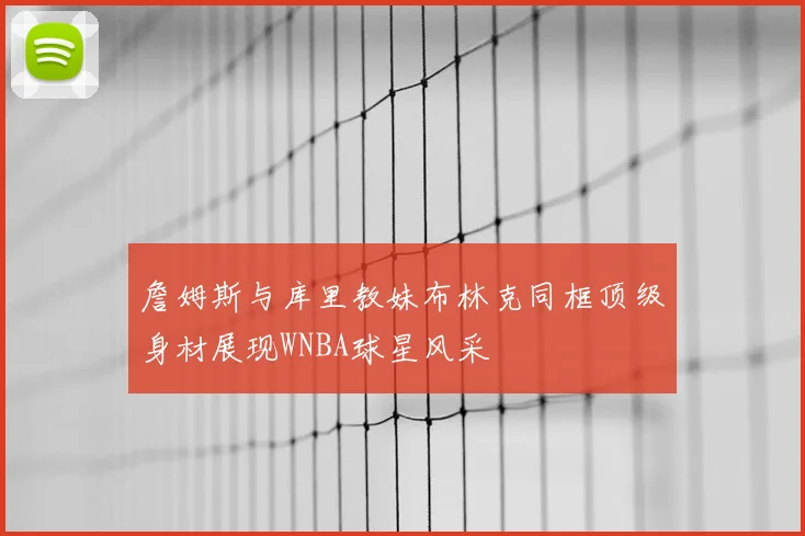 詹姆斯与库里教妹布林克同框顶级身材展现WNBA球星风采