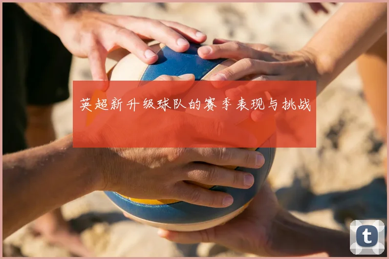 英超新升级球队的赛季表现与挑战